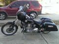 Softail Standard