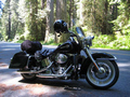 HardbagsforHeritage Softail 1