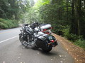 HardbagsforHeritage softail1