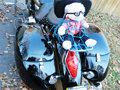 a href="HardbagsforVTX_vtx1800t.html">