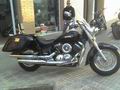 jumbo strong  Vstar1100classic2