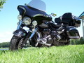 jumbo strong  roadliner 6