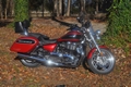 Thunderbird