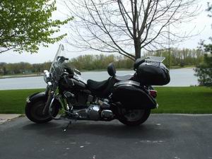 Softail